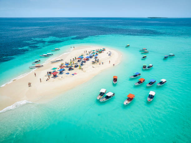 Sandbank Tour Zanzibar