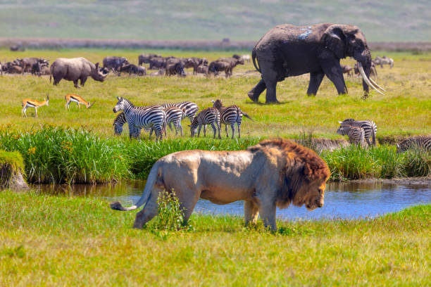 Serengeti National Park